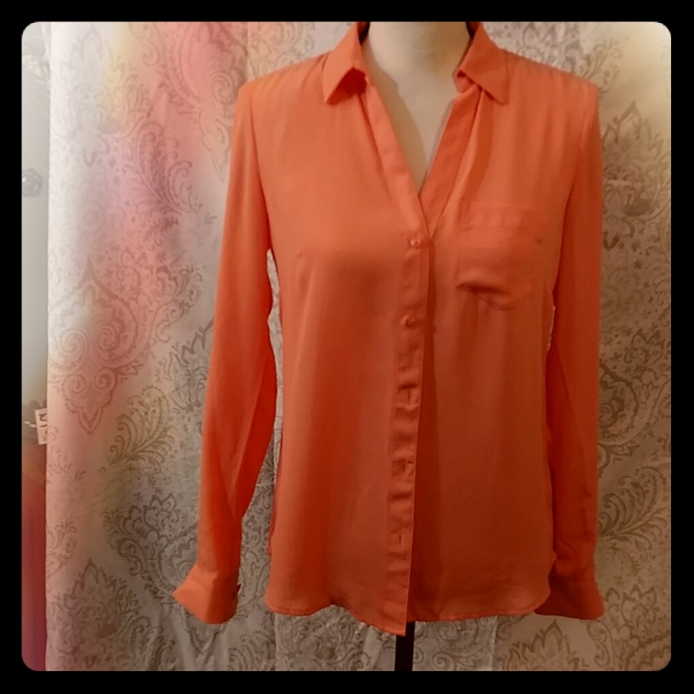 Sheer long sleeved blouse